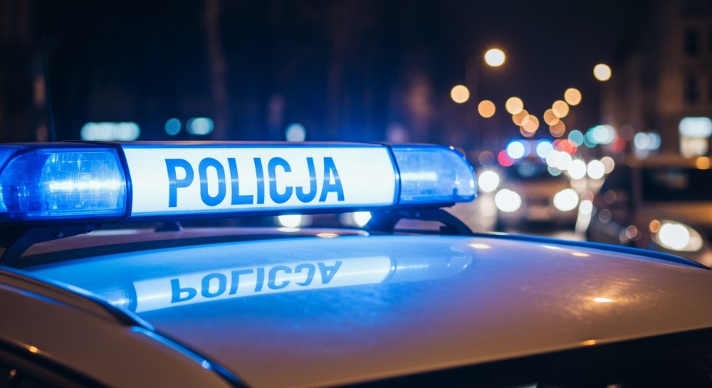 Zatrzymani złodzieje aut azjatyckich marek po akcji policji i straży granicznej
